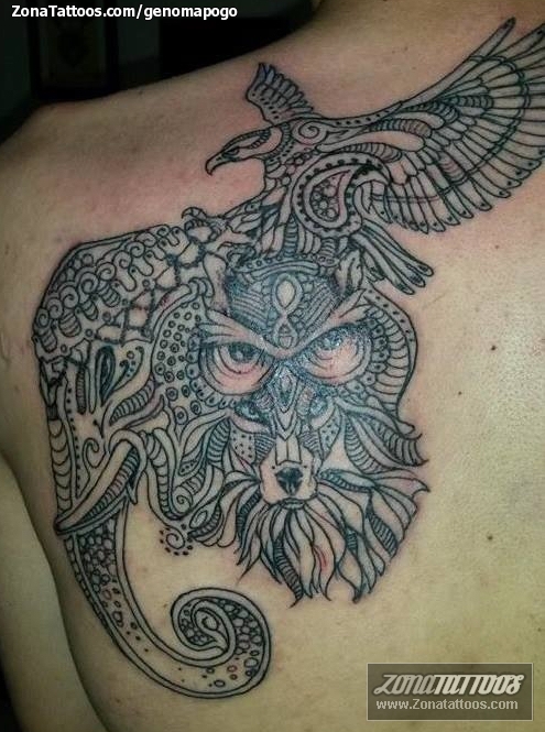 110 Best Owl Tattoos and Designs With Meanings