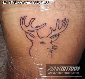 Tattoo of Deers, Animals