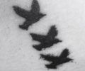 Tatuaje de Loba_mty