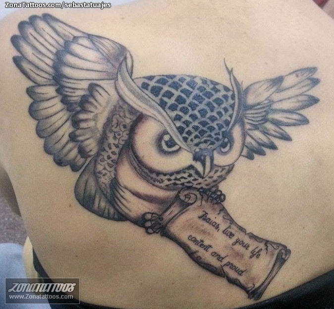 Tattoo of Owls, Birds, Animals