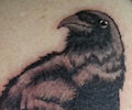 Tatuaje de curi222