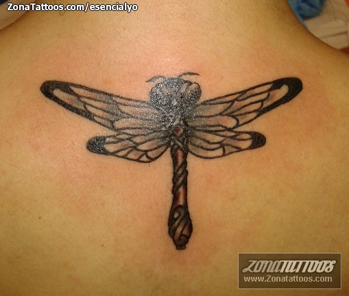 Dragonfly Tattoo Dashboard