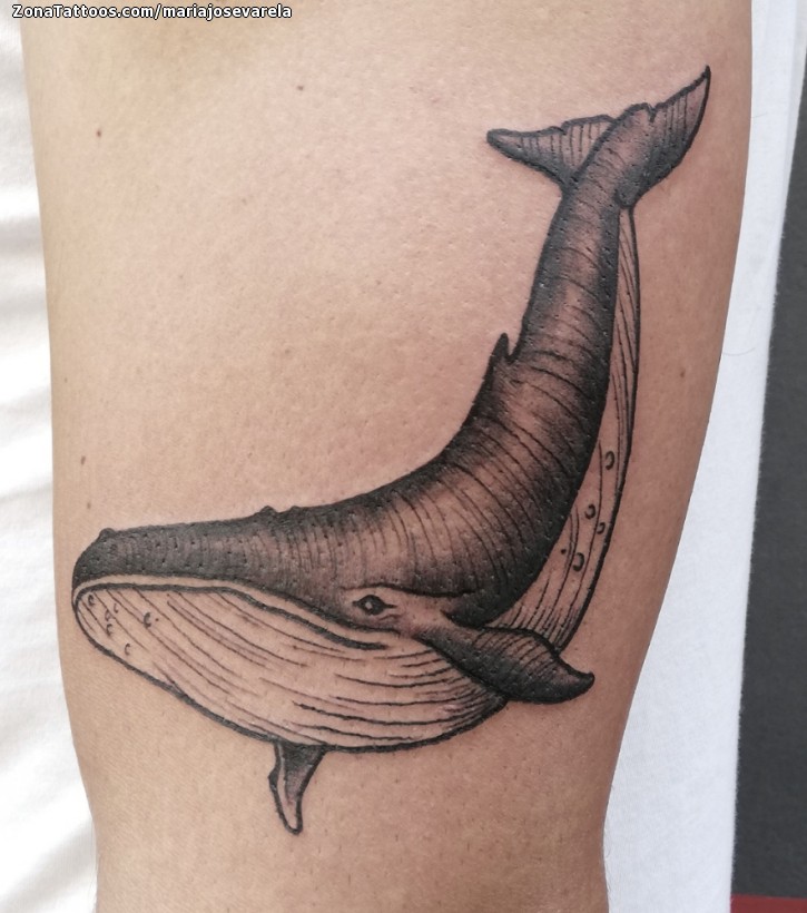 Tatuajes y Diseños de Ballenas