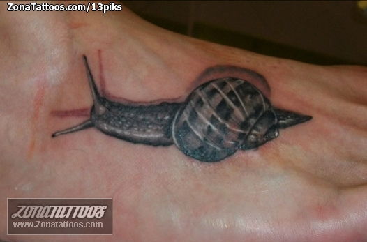 22 Snail Skull Tattoos