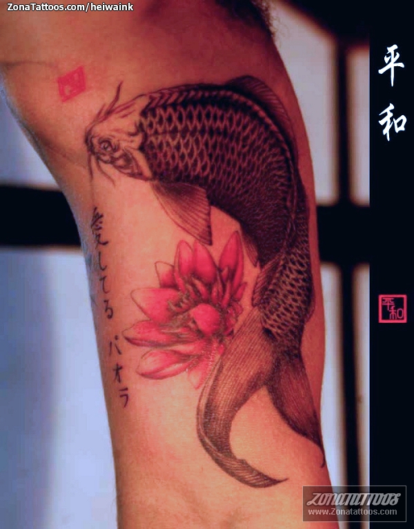 La carpa giapponese  Sacrum Cor Tattoo