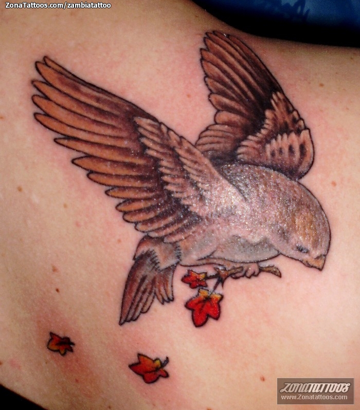 Tattoo of Birds, Sparrows, Animals
