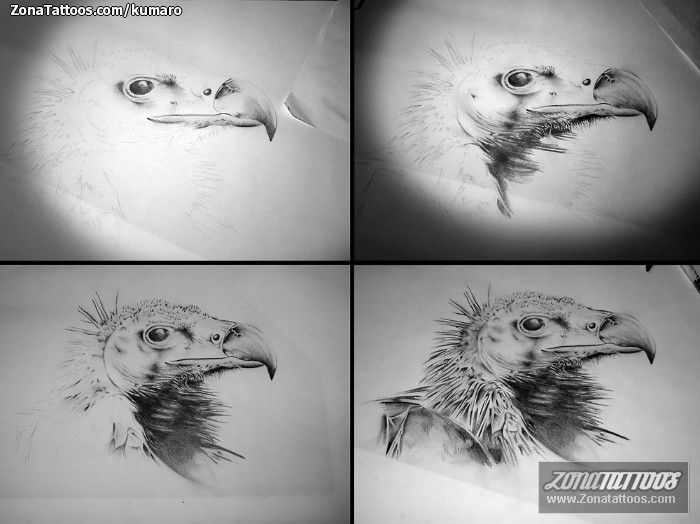 Tattoo flash photo Birds, Vultures, Animals
