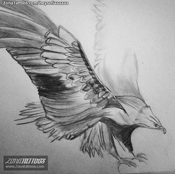 Tattoo Flash of Eagles, Birds, Animals