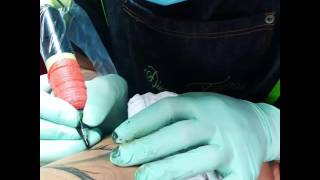 Proceso de tatuaje de Ave Fénix